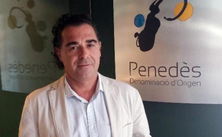 El director de la DO Penedès, Francesc Olivella. Adrià Gala. 