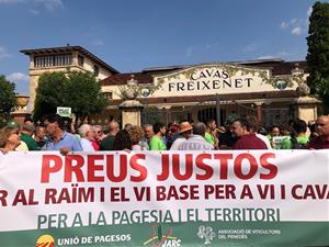 El Penedès, per un preu just del raïm