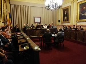 El ple de Vilanova aprova una moció de resposta a la sentència del Tribunal Suprem. Ajuntament de Vilanova