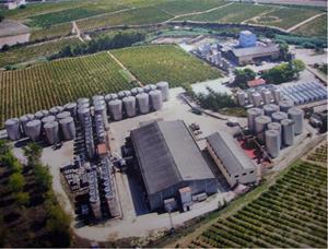 El president de Freixenet compra el 100% de l’empresa vitivinícola Vins Font. Vins Font