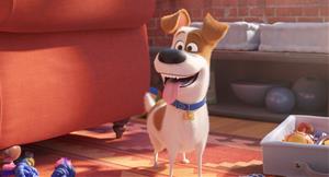 El protagonista de 'Mascotes 2', el gos Max, a la segona part de la seqüela d'animació. ACN