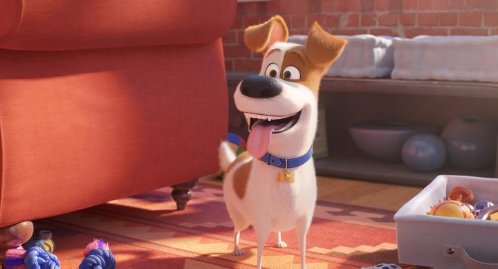 El protagonista de 'Mascotes 2', el gos Max, a la segona part de la seqüela d'animació. ACN