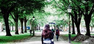 Els espais verds de les ciutats tenen efectes beneficiosos sobre la salut mental, especialment en els homes. ISGlobal