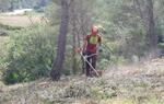 Els treballs forestals de prevenció d’incendis a Sant Pere de Ribes s’aprofitaran per produir biomassa. Ajt Sant Pere de Ribes