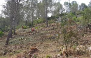 Els treballs forestals de prevenció d’incendis a Sant Pere de Ribes s’aprofitaran per produir biomassa
