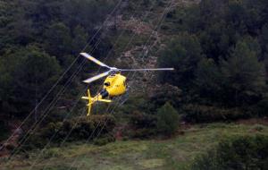 Endesa destina més de mig milió d'euros en protegir els boscos de l'Alt Penedès i Garraf