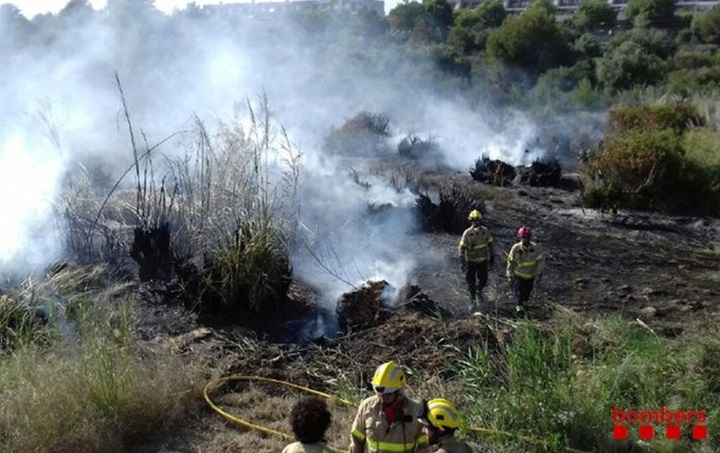 Ensurt amb un foc forestal entre Calafell i El Vendrell. Bombers