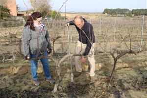 Es posa en marxa l'Observatori de la Sequera de l'Alt Penedès per combatre els efectes del canvi climàtic a la vinya