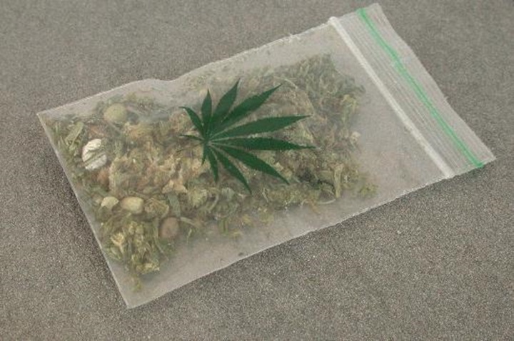 Imatge d'arxiu d'una bosseta de marihuana. Ajuntament de Vilafranca