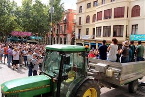 Imatge de l'assemblea que els viticultors han fet a la plaça de l'Ajuntament de Vilafranca aquest 16 d'agost de 2019