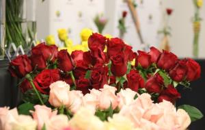 Imatge de roses vermelles i roses aquest 16 d'abril de 2019 a Mercabarna. ACN
