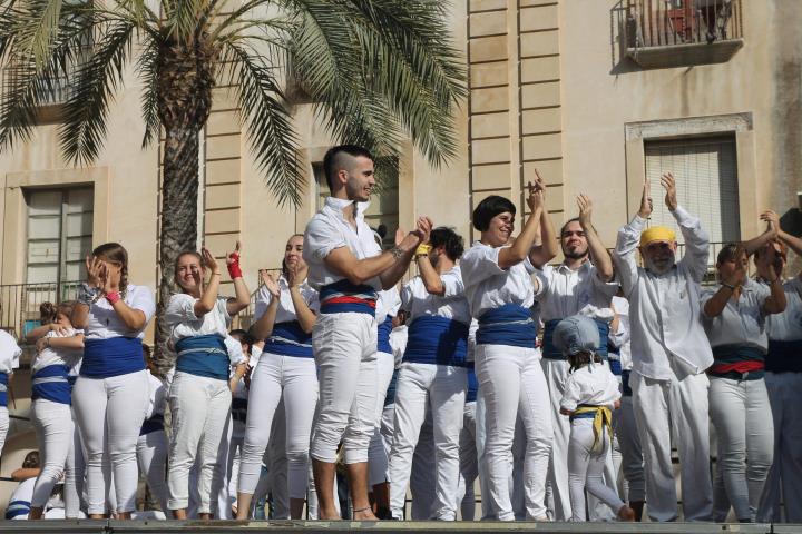 Imatge dels Falcons de Vilanova. Eix