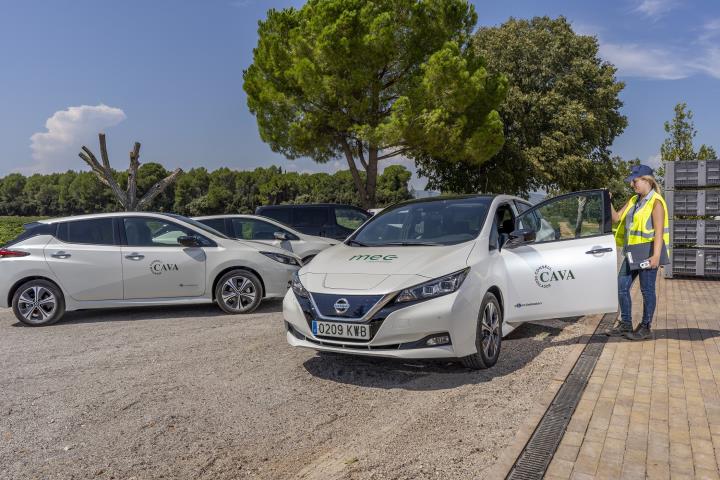 Imatge dels vehicles elèctrics que s'han posat a disposició dels verificadors. ACN