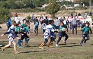 Imatges del Torneig Dofins organitzat pel Rugby Club Sitges