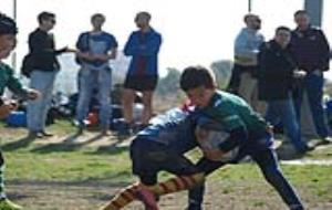 Imatges del Torneig Dofins organitzat pel Rugby Club Sitges