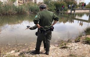Investiguen la mort de 70 peixos a la desembocadura del Foix