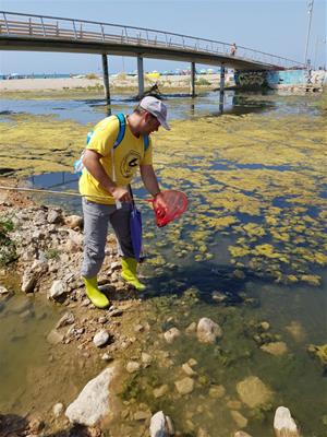 Itinerari de natura exòtica a les Madrigueres