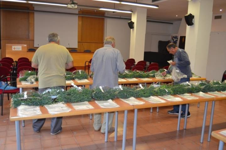 La comissió de Corpus de Sitges distribueix més de 3.000 esqueixos de clavells. Ajuntament de Sitges