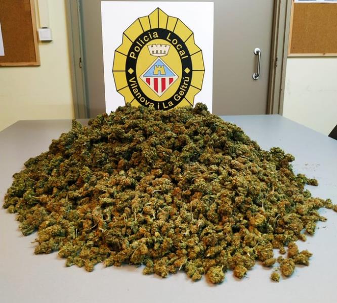 La policia de Vilanova deté dos homes que potaven dos quilos i mig de marihuana al maleter. Ajuntament de Vilanova