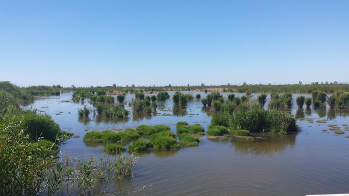 La protecció de la biodiversitat, un repte necessari. Sorea