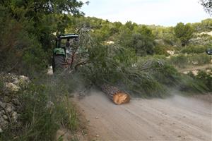 L’APMA denuncia a la Fiscalia de Medi Ambient la gestió forestal del Mas de l’Artís