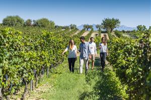 Les instal·lacions de Torres a Pacs del Penedès, reconegudes entre els 50 millors cellers del món per visitar