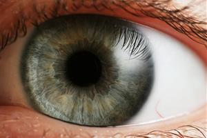 Les persones amb demència tenen pitjor salut visual, segons un estudi. Fundació ACE