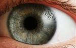 Les persones amb demència tenen pitjor salut visual, segons un estudi. Fundació ACE