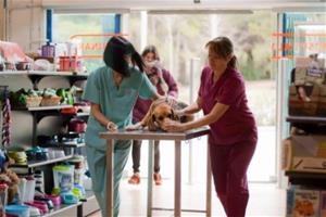 L'hospital veterinari Mima’ns prepara la segona edició del curs d’auxiliar tècnic.. Mima'ns