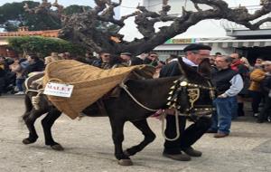 Majoria d'edat dels Tres Tombs de Les Peces, a Albinyana