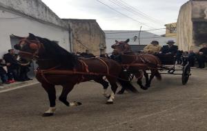 Majoria d'edat dels Tres Tombs de Les Peces, a Albinyana