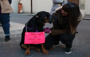 Manifestació de protesta per la mort d'un rottweiler abatut per la Policia Local de Calafell