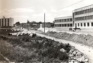 Obres de construcció de l'Institut Manuel de Cabanyes al 1967. Foto Jordi Mas