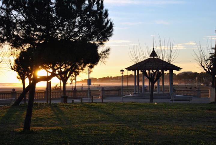 Parc de Ribes Roges. Eix