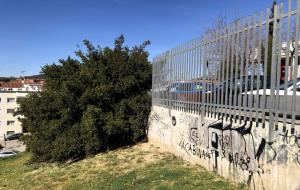 Pintades als carrers de Sant Sadurní d'Anoia