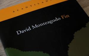 Pla detall de la coberta de 'Fin', de David Monteagudo. Imatge del 6 de febrer del 2019 