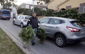 Pla general d'un agent dels Mossos d'Esquadra carregant dues plantes de marihuana intervingudes en l'operatiu contra el tràfic de drogues a Tarragona.