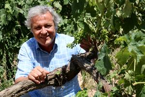 Pla mitjà del president de la DO Penedès, Joan Huguet, amagat entre vinyes. ACN