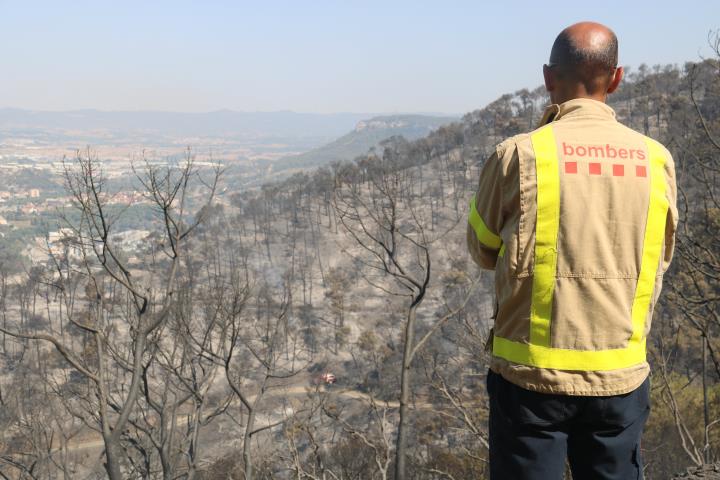 Pla mitjà d'un bomber observant la zona cremada. ACN