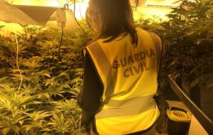 Pla mitjà d'una agent de la Guàrdia Civil en un operatiu per desmantellar una plantació de marihuana a la Bisbal del Penedès. Guàrdia Civil