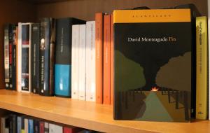 Pla obert d'un prestatge ple de llibres amb 'Fin', de David Monteagudo, en primer terme