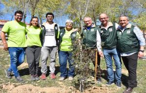 Plantada de més de 60 arbres al municipi d’Olivella en família