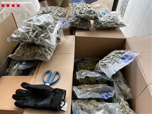 Presó per a un camioner detingut a Vilafranca que transportava 82 quilos de marihuana amagada entre la càrrega. Mossos d'Esquadra