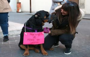Protesta per la mort d'un rottweiler abatut per la Policia Local de Calafell. ACN / Mar Rovira