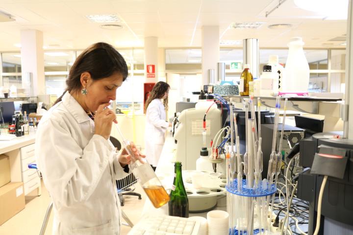 Representants d’11 laboratoris públics es troben a Vilafranca per treballar en la millora de l'excel·lència. INCAVI