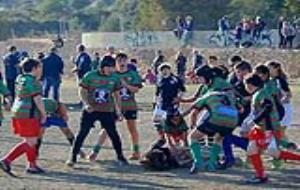 Rugby Nova Olivella
