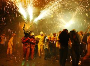 Sant Sadurní d’Anoia es prepara per tornar a combatre la plaga de la fil·loxera. EIX