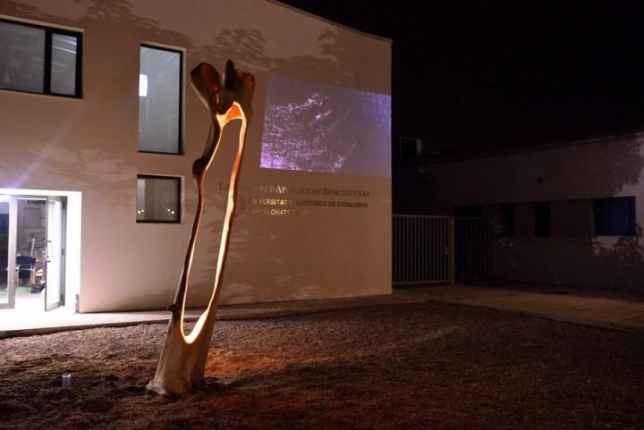 S’inaugura el monument de l’arbre caigut per l’esclafit i les projeccions de balenes a la façana del LAB. Jordi Lleó