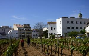 Sitges reivindica la genuïnitat de la Malvasia amb l'obertura d’un centre d’interpretació