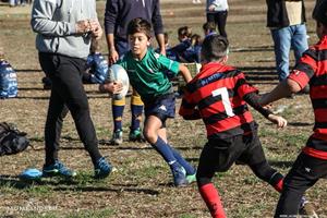 Torneig dels Dofins - Escoles de Rugby